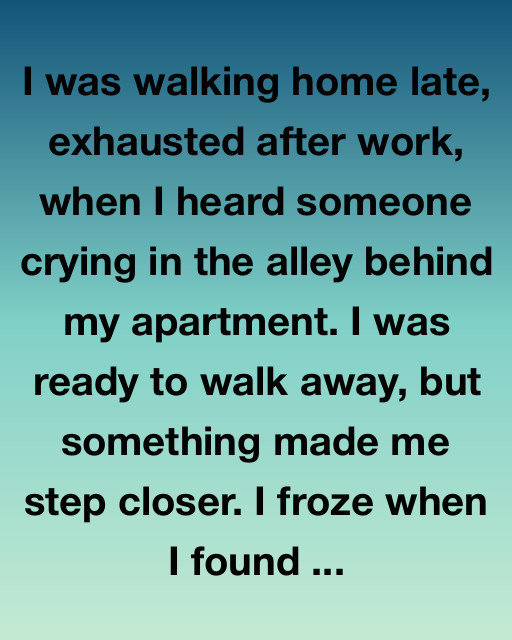 The Shadow In The Alleyway