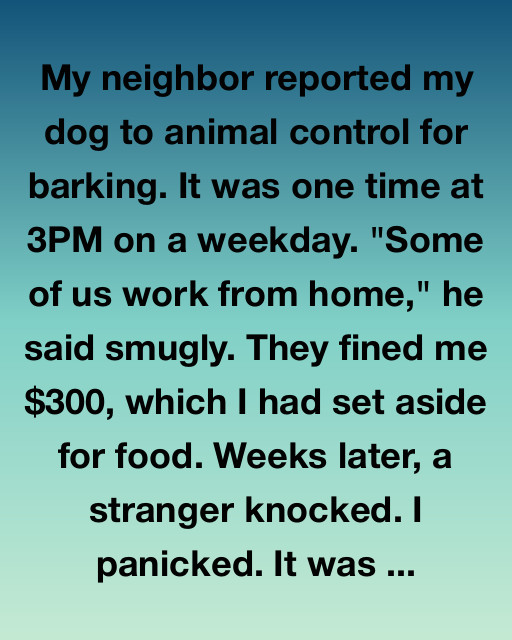 The Silence Of The Stone Garden