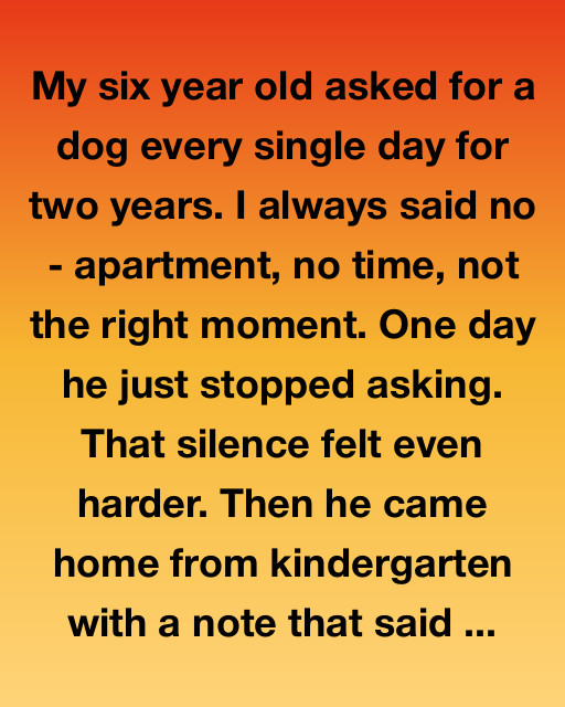 The Silent Promise Of A Paper Dog