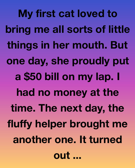 The Golden Paw Of The Neighborhood